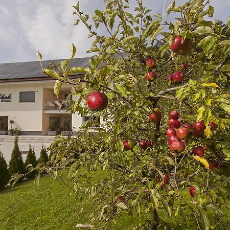 Apartment Apartments&wellness Skok