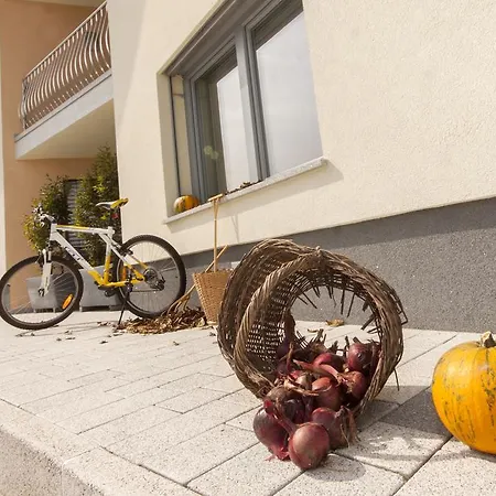 アパート & Wellness Skok *