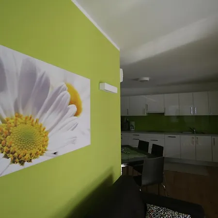 Apartments&wellness Skok *