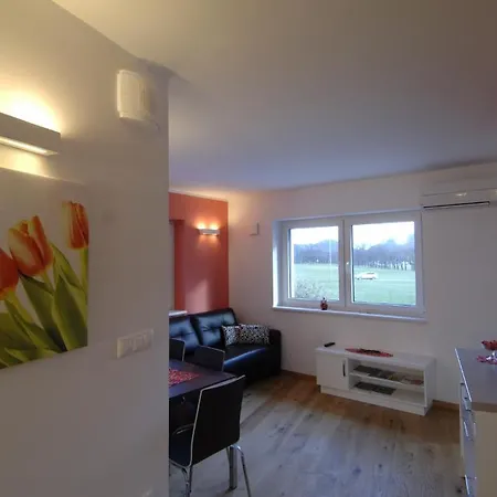 Apartments&wellness Skok *