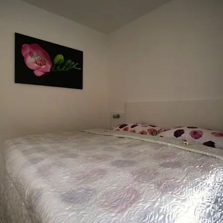 Apartma & Wellness Skok