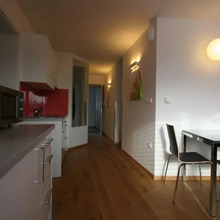 Apartma & Wellness Skok *
