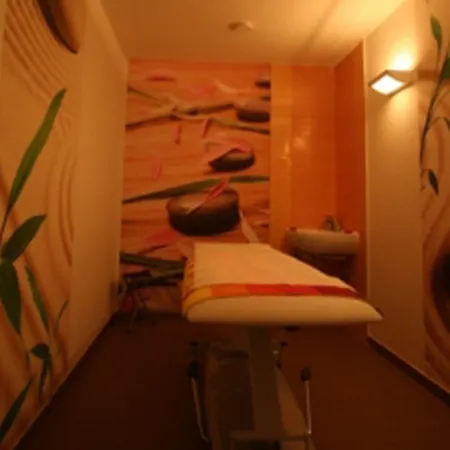 Apartma & Wellness Skok *