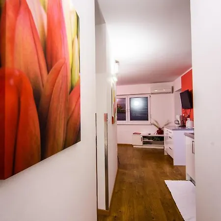 Apartamento & Wellness Skok *