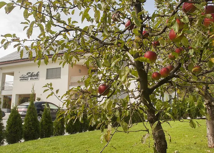 & Wellness Skok Mozirje