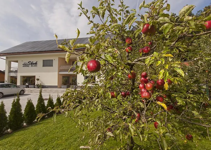 Apartamento & Wellness Skok