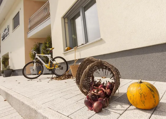 公寓 斯阔克康体公寓 *